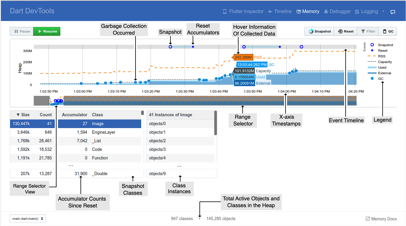 Screenshot of a memory anatomy page