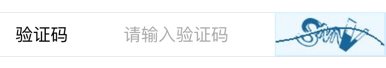 表单 - 图5